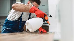 Best Pest Prevention Services  in Walkertown, NC